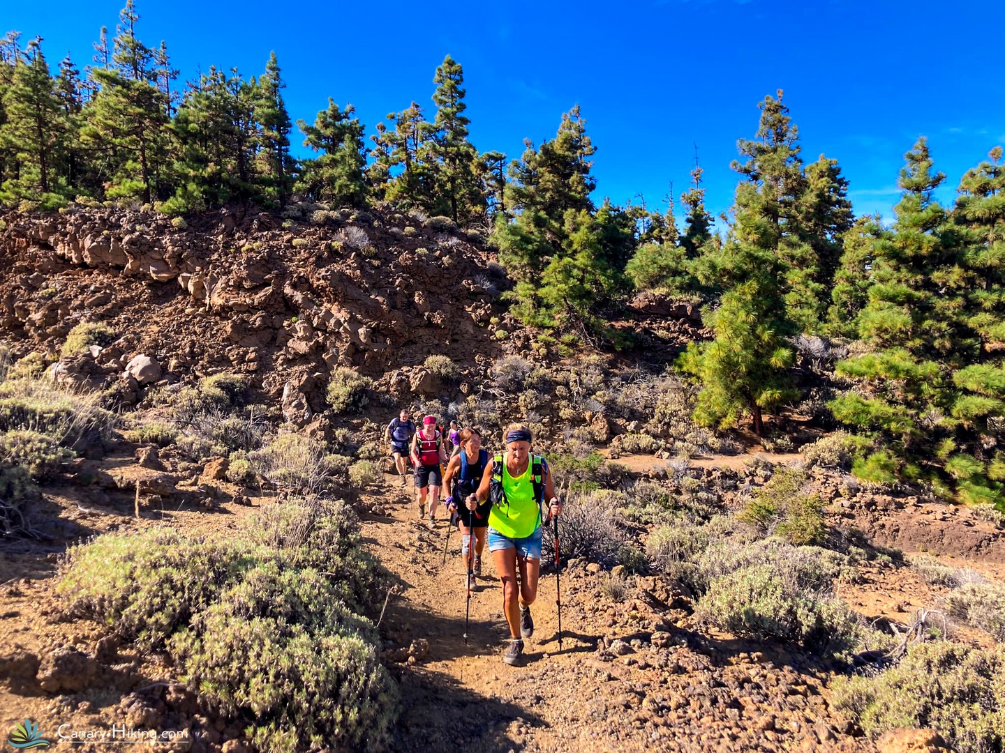 Wandelen op Tenerife
