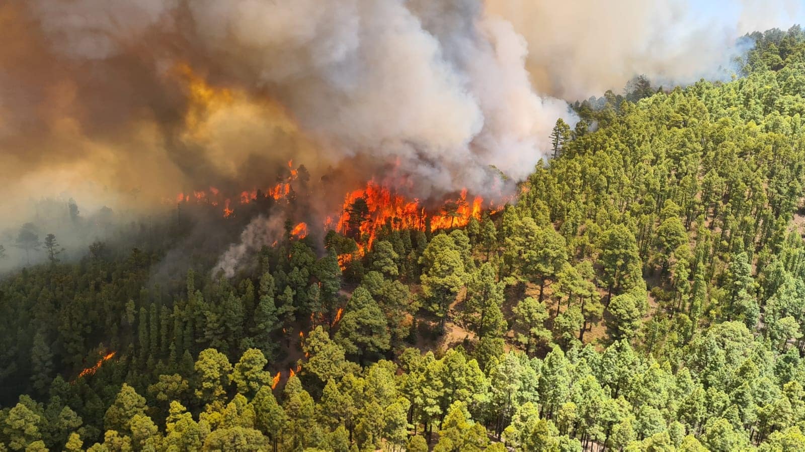 Tenerife ergste brand in 40 jaar