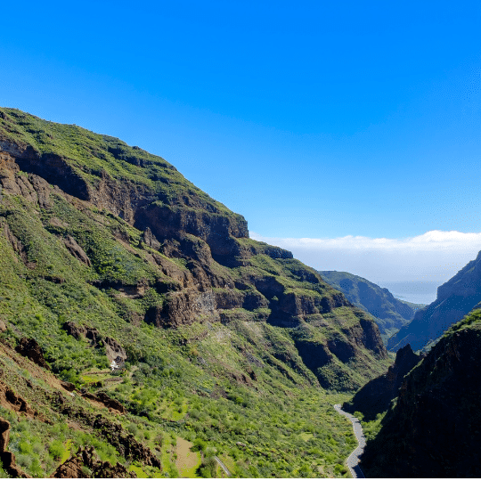 Barranco de Guayadeque